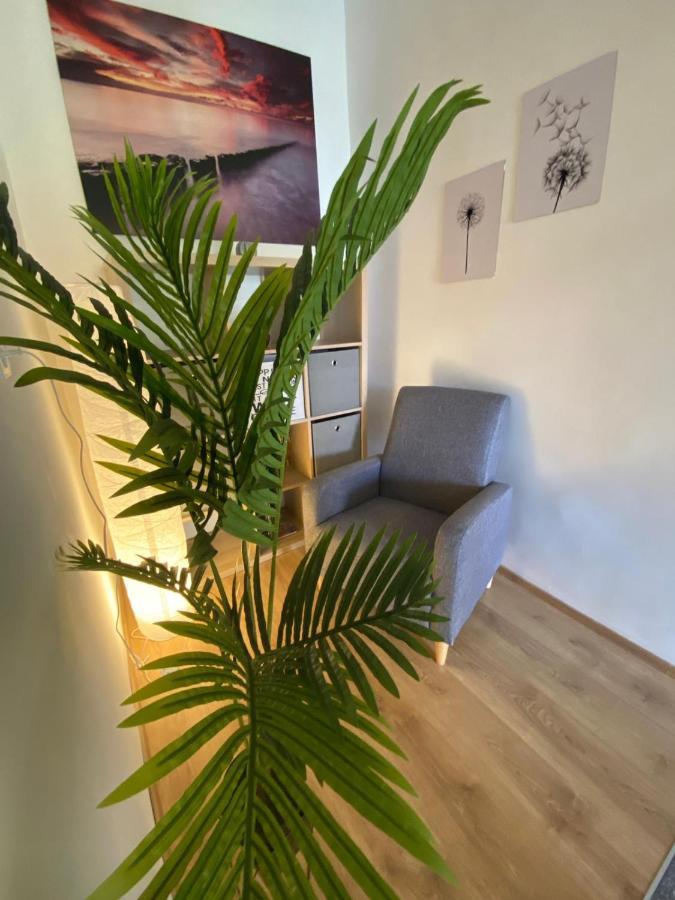 Apartment Dora Задар Экстерьер фото